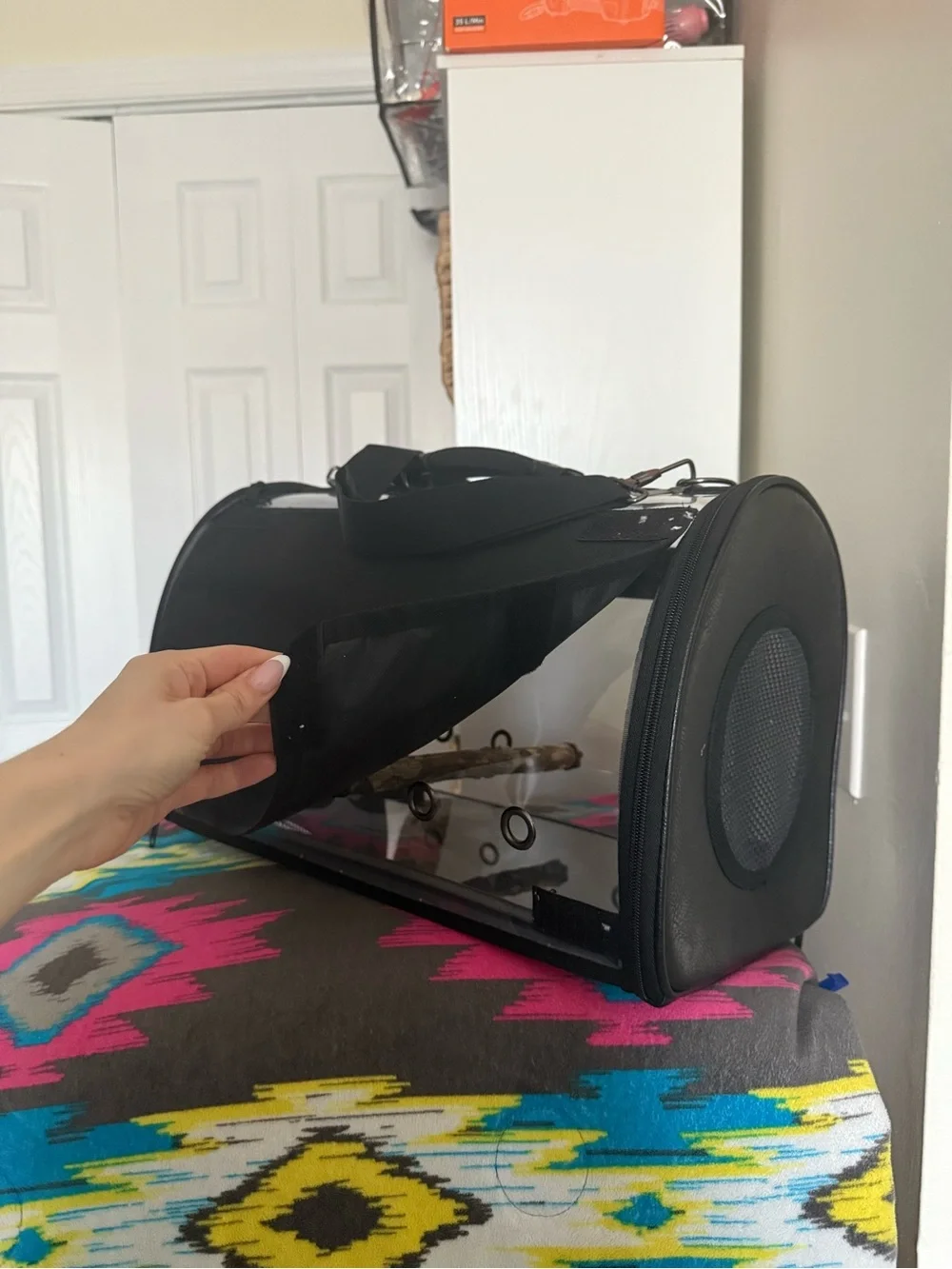 Clear-Sided Black Bird/Pet Carrier with Vent Panels - Picture 3 of 4